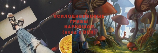 прущие крисы Заводоуковск