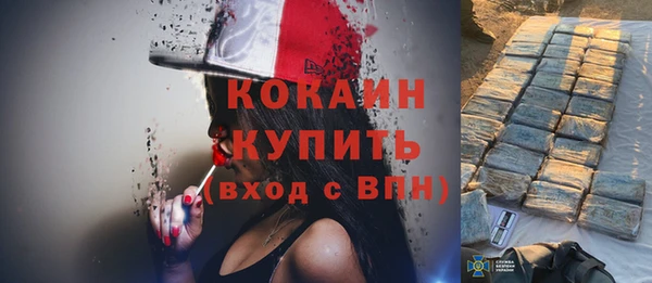 МДПВ Ельня