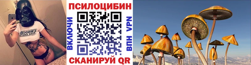 Галлюциногенные грибы GOLDEN TEACHER  Каменск-Шахтинский 
