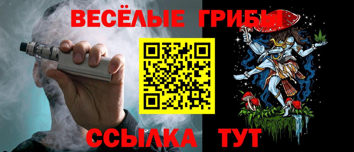 Галлюциногенные грибы прущие грибы  Вход с VPN  Каменск-Шахтинский  Галлюциногенные грибы ЛСД 